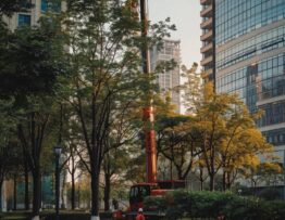 a sleek urban landscape showcases a modern tree-trimming service in action, featuring high-tech equipment and precision tools against the backdrop of a well-maintained city park, emphasizing efficiency and expertise in the tree care industry.
