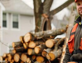 a confident clower tree service professional, equipped with advanced tree removal equipment, stands in an impeccably organized urban yard, surrounded by neatly stacked logs and an expertly cleared area showcasing the expertise and trustworthiness of the service.