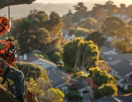 a professional arborist in safety gear expertly operates a chainsaw to prune a towering tree against the backdrop of a well-maintained urban neighborhood, showcasing the precision and skill involved in tree cutting services.