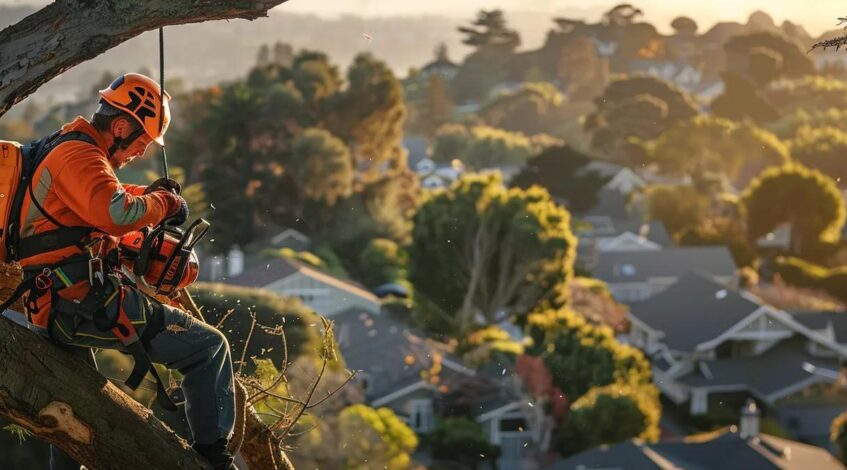 a professional arborist in safety gear expertly operates a chainsaw to prune a towering tree against the backdrop of a well-maintained urban neighborhood, showcasing the precision and skill involved in tree cutting services.